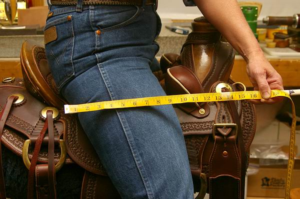 Proper Western Saddle Fit 6 Signs Your Saddle Doesn t Fit Your Horse 