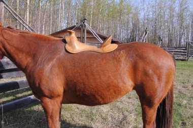 proper western saddle fit