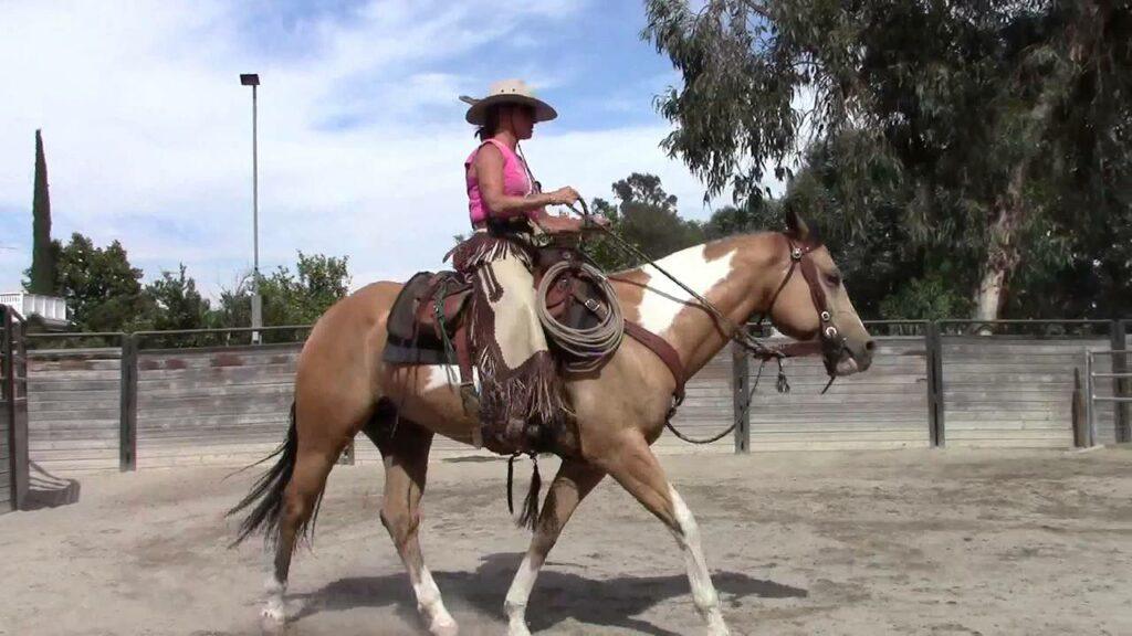 sitthetrot Horse Saddle Comparison