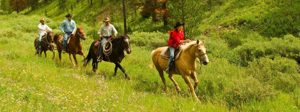 horseback trail riding tips