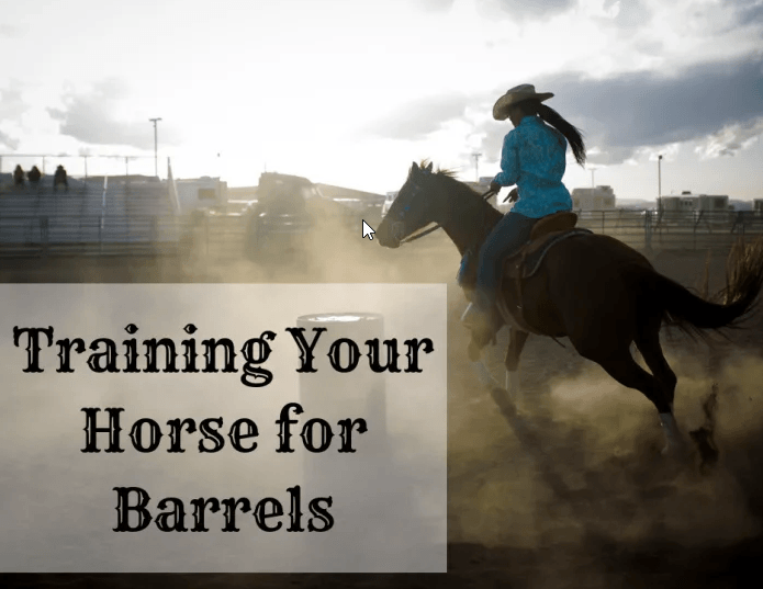 beginner barrel racing tips