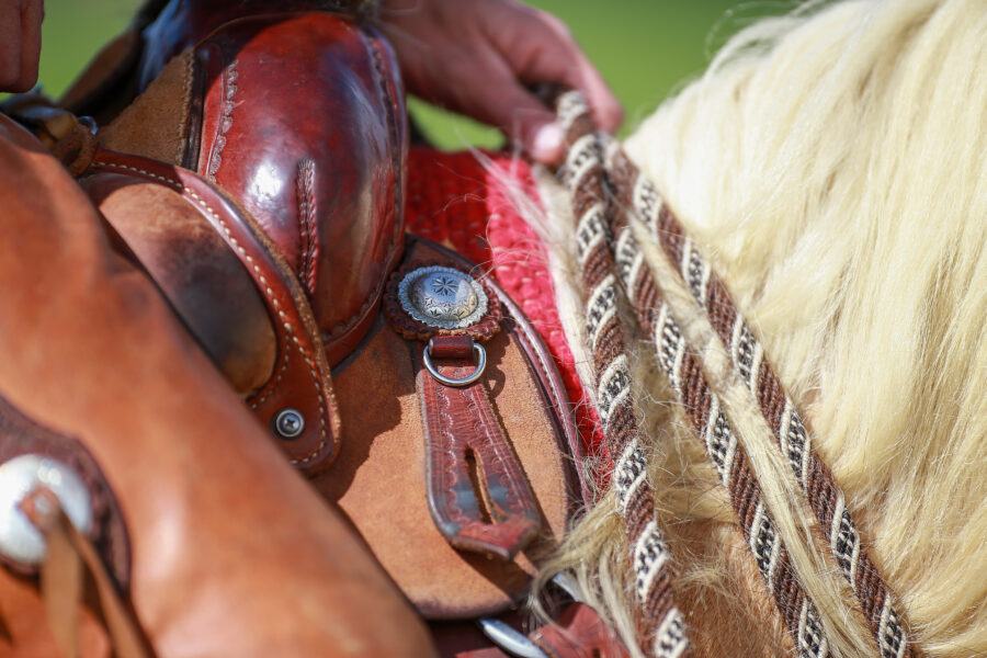 How to Stop a Horse From Bucking