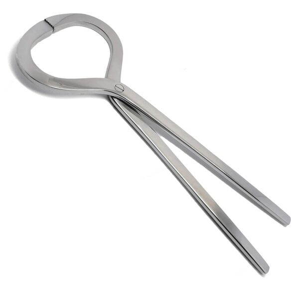 Horse Hoof Abscess Treatment How to Treat and Clean Hooves