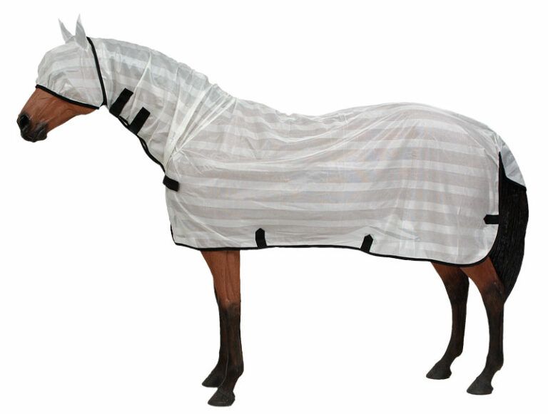 Best Fly Sheets for Horses Stop Flies, Block Heat & Dust