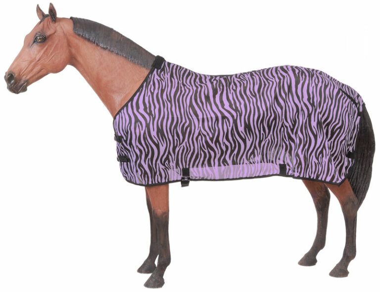 Best Fly Sheets for Horses Stop Flies, Block Heat & Dust