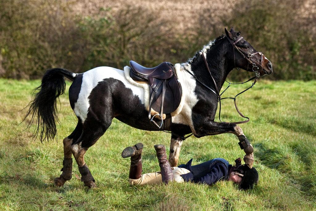 Horse riding accidents