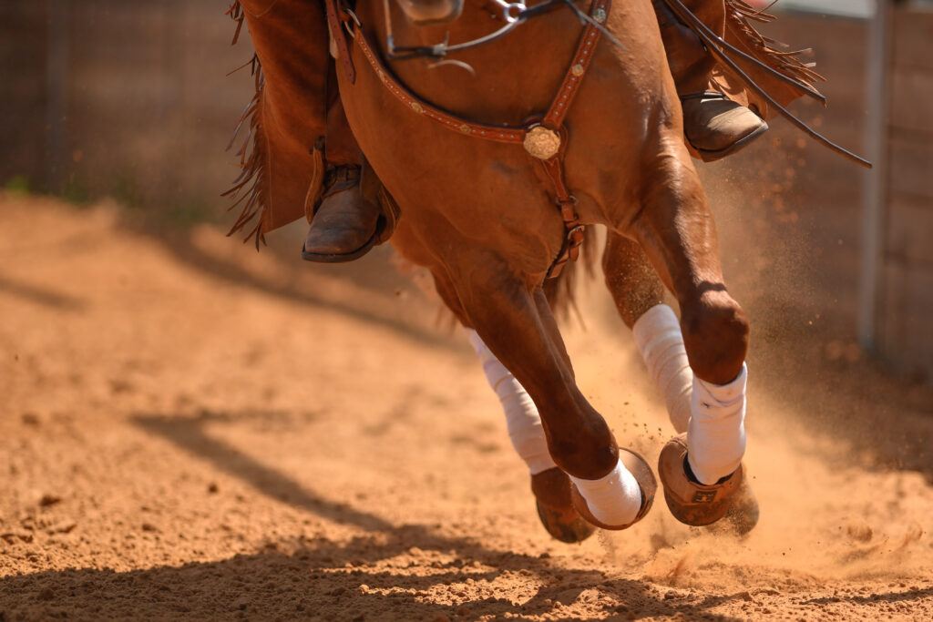 stop horse bolting